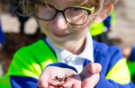 MOLEY FARM VISIT