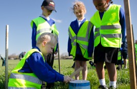 MOLEY FARM VISIT